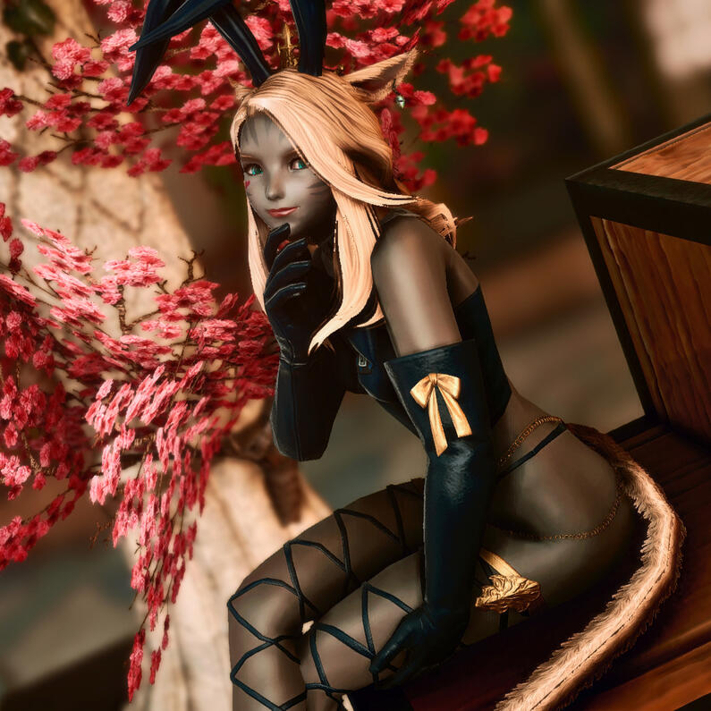 Erdollia Celador Erdollia Celador